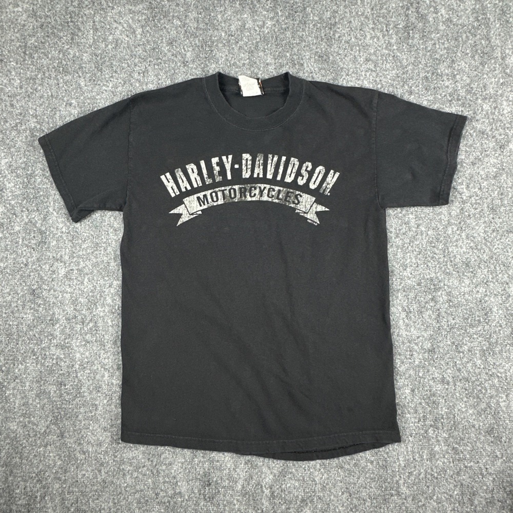 Vintage 2011 Northern Lights Harley-Davidson Wolf Shirt Arbor Vitae WI Beefy-T M